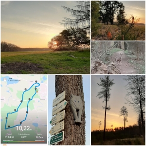 WhatsApp Image 2020-04-18 at 07.47.24.jpeg 