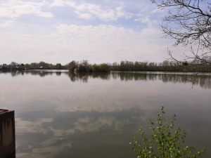 WhatsApp Image 2020-04-18 at 14.14.01.jpeg 